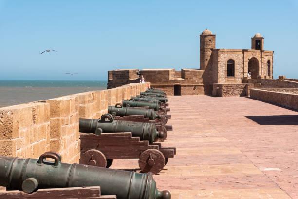 Excursion en calèche et visite de la Galerie d'Art Damgaard Essaouira